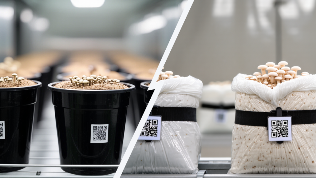 Buckets or Bags: Can MushBucketsPro Handle Both?